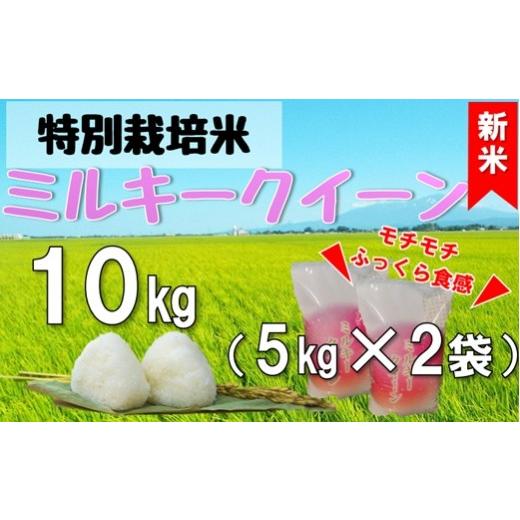 ふるさと納税 米 ミルキークイーン 山形県 三川町 令和8年産・精米 米蔵いいの特別栽培米ミルキークイーン10kg(5kg×2袋) 10月上旬頃から順次配送 令和8年…