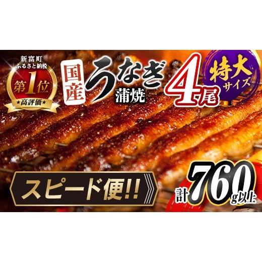 ふるさと納税 うなぎ 宮崎県 新富町 3営業日以内に出荷 特大 うなぎ 鰻楽 国産 蒲焼 4尾 計760g以上 無頭 高評価 おすすめ 冷凍 簡単調理 個包装 鰻 魚介 贈…