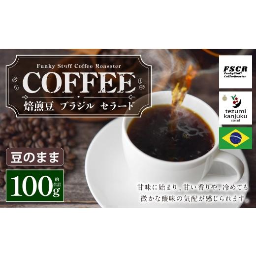 ふるさと納税 コーヒー コーヒー豆 茨城県 神栖市 コーヒー焙煎豆 ブラジル セラード ( 豆のまま ) 100g × 1個 甘味 香り 黒糖 コク コーヒー COFFEE coffe…