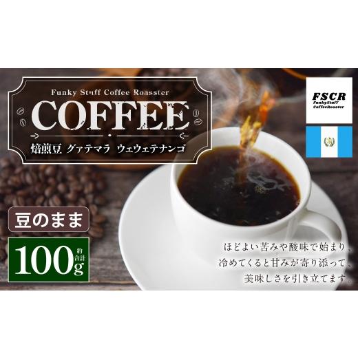 ふるさと納税 コーヒー コーヒー豆 茨城県 神栖市 コーヒー焙煎豆 グァテマラ ウェウェテナンゴ ( 豆のまま ) 100g × 1個 苦味 酸味 甘味 コーヒー COFFEE …