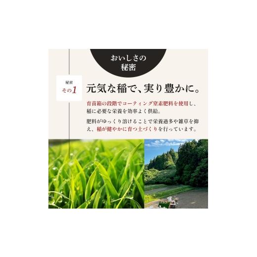 ふるさと納税 米 ひとめぼれ 宮城県 大河原町 令和8年産 新米 ひとめぼれ 10kg ( 5kg × 2袋 ) 3ヵ月 定期便 先行予約 米 お米 白米 精米 こめ コメ 令和8年 …の画像