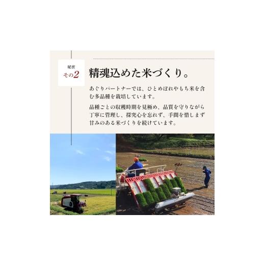 ふるさと納税 米 ひとめぼれ 宮城県 大河原町 令和8年産 新米 ひとめぼれ 10kg ( 5kg × 2袋 ) 3ヵ月 定期便 先行予約 米 お米 白米 精米 こめ コメ 令和8年 …の画像