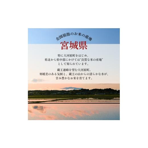 ふるさと納税 米 ひとめぼれ 宮城県 大河原町 令和8年産 新米 ひとめぼれ 10kg ( 5kg × 2袋 ) 3ヵ月 定期便 先行予約 米 お米 白米 精米 こめ コメ 令和8年 …の画像