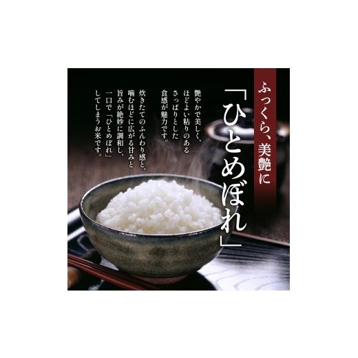 ふるさと納税 米 ひとめぼれ 宮城県 大河原町 令和8年産 新米 ひとめぼれ 5kg 6ヵ月 定期便 先行予約 米 お米 白米 精米 こめ コメ 令和8年 宮城県産の画像