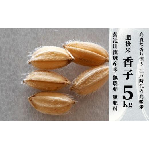 ふるさと納税 米 熊本県 和水町 香子 5kg | 熊本県 和水町 くまもと なごみまち なごみ 米 お酒 酒 あか酒 地酒 花の香酒造