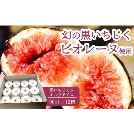 ふるさと納税 菓子 アイス 新潟県 柏崎市 黒いちじくのミルクアイス 90ml×12個 幻の黒いちじく 黒いダイヤモンド ビオレソリエス