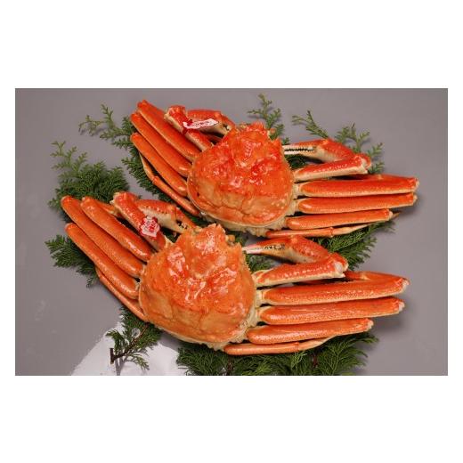 ふるさと納税 カニ 松葉ガニ 鳥取県 境港市 境港産松葉がにボイル姿タグ付き 計1kg(中サイズ2枚)