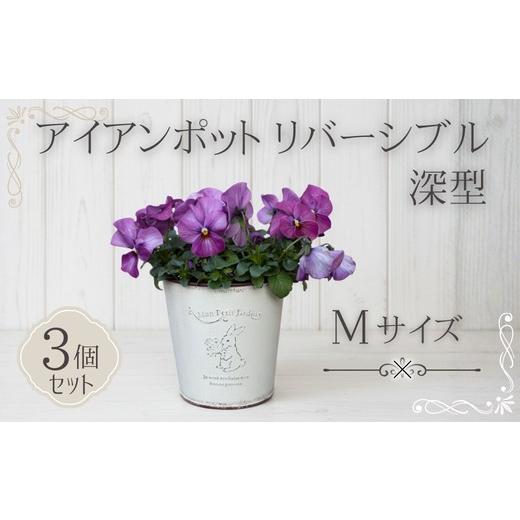 ふるさと納税 雑貨・日用品 大阪府 河内長野市 アイアンポット リバーシブル M 深型 3個セット | 植木鉢 おしゃれ 鉢カバー 止水栓付 フラワーベース 花瓶 花…