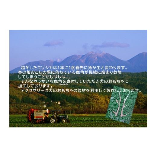 ふるさと納税 雑貨・日装具 手あそび 北海道 陸別町 りくべつ エゾシカの角 犬の手あそび 半割り振り 中大きさ(約15糎) 2本 仕かける 犬 手あそび 北海道 陸別町