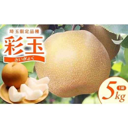 ふるさと納税 梨 埼玉県 久喜市 梨 彩玉 5kg 11玉 12玉 2026年 先行予約 数量限定 | 梨 フルーツ 果物 彩玉 和梨 高級 産地直送 限定品 贈り物 新鮮 お取り寄…