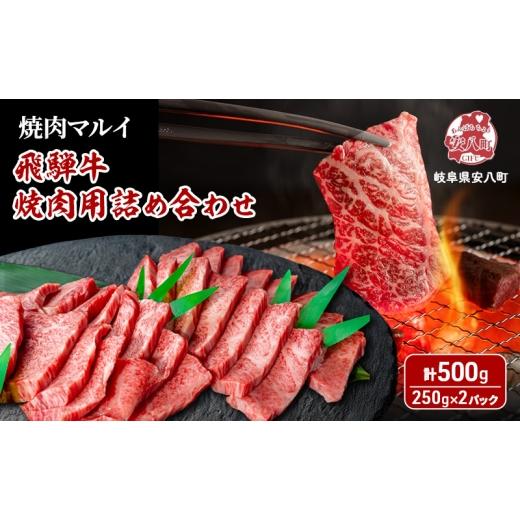 ふるさと納税 牛肉 焼肉・バーベキュー 岐阜県 安八町   飛騨牛 焼肉用 約500g(約250g×2パック) A4〜A5等級使用 焼肉 肉 牛 牛肉 お肉 国産 和…