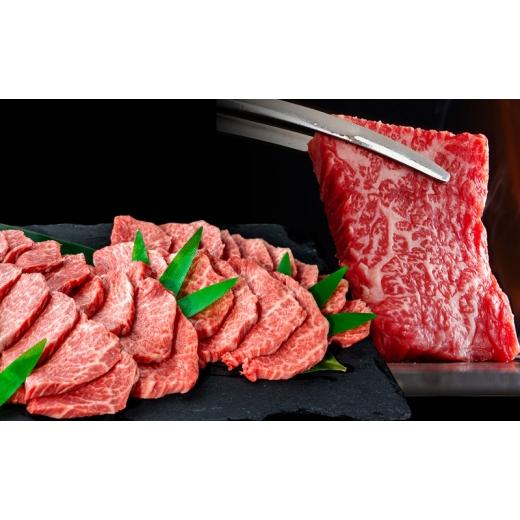 ふるさと納税 牛肉 焼肉・バーベキュー 岐阜県 安八町   飛騨牛 赤身メイン 焼肉用 約500g(約250g×2パック)A4〜A5等級使用 焼肉 肉 牛 牛肉 お…