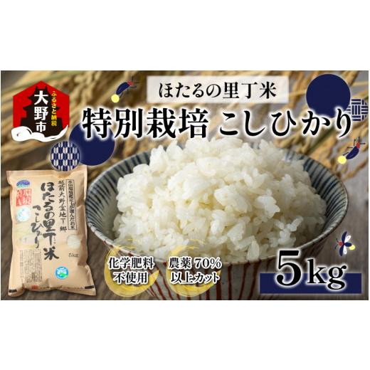 ふるさと納税 米 コシヒカリ 福井県 大野市 先行予約 令和8年産 新米 ベストファーマー ほたるの里 特別栽培こしひかり 5kg 化学肥料不使用 農薬70%以上カッ…
