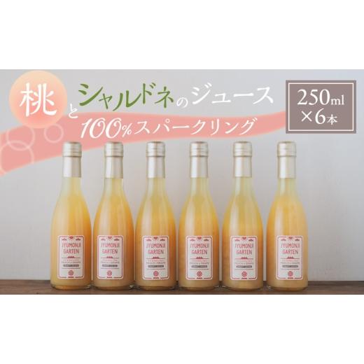 ふるさと納税 野菜類 ジュース 長野県 駒ヶ根市 桃とシャルドネのジュース 100%スパークリング(250ml×6本)  