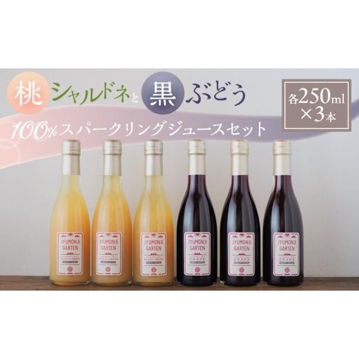 ふるさと納税 野菜類 ジュース 長野県 駒ヶ根市 桃シャルドネと黒ぶどう 100%スパークリングジュースセット(各250ml×3本)  