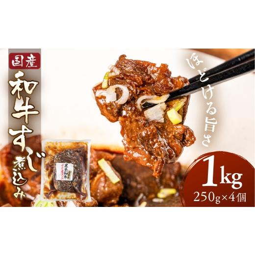 ふるさと納税 惣菜・レトルト 冷蔵 岐阜県 大垣市 ＼深い旨みとコク/和牛すじ煮込み 2kg 250g×8個 レトルト 牛すじ 牛すじ煮込み 牛すじ煮 国産 国産和牛 和…