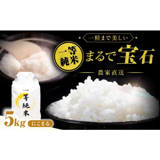 ふるさと納税 米 にこまる 愛知県 稲沢市 5月発送 一等純米 にこまる 5kg / 米 お米 精米 白米 一等米 愛知県産 国産米 / 稲沢市 / 有限会社ハシモト耕販 …