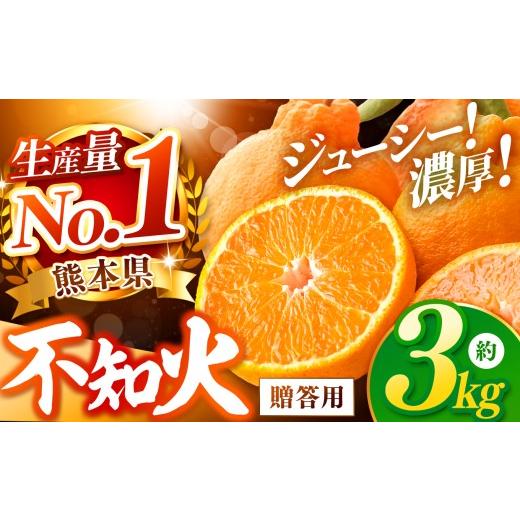 ふるさと納税 みかん・柑橘類 熊本県 玉名市 数量限定 不知火 約3kg | みかん しらぬい 贈答用 秀品 先行予約 オススメ 蜜柑 柑橘 果物 フルーツ 熊本県 玉名…