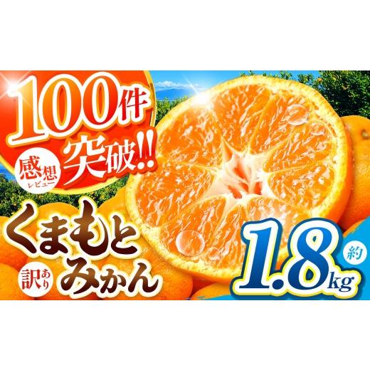 ふるさと納税 果物類 みかん 熊本県 玉名市 訳あり 大玉 くまもと みかん 約 1.8kg | 果物 みかん くだもの みかん フルーツ みかん 柑橘 みかん 柑橘類 みか…