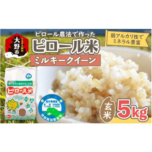 ふるさと納税 米 ミルキークイーン 福井県 大野市 先行予約 令和8年産 新米 ミネラル豊富 弱アルカリ性のピロール米 ミルキークイーン 玄米 5kg 化学肥料5割…