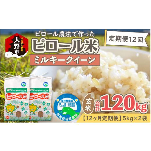 ふるさと納税 米 ミルキークイーン 福井県 大野市 先行予約 令和8年産 新米 12ヶ月定期便 ミネラル豊富 弱アルカリ性のピロール米 ミルキークイーン 玄米 10k…