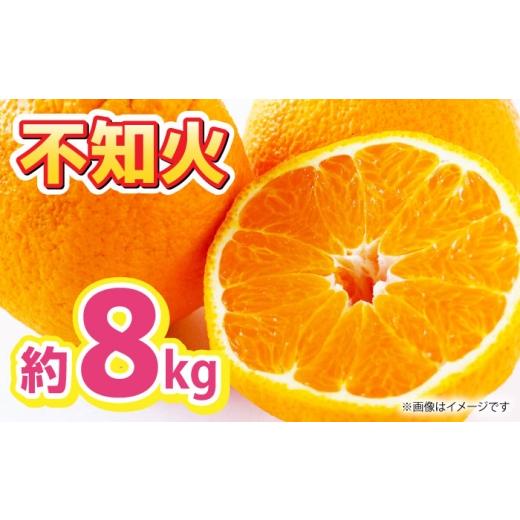 ふるさと納税 みかん・柑橘類 熊本県 山鹿市 先行予約 不知火 約8kg くまふる