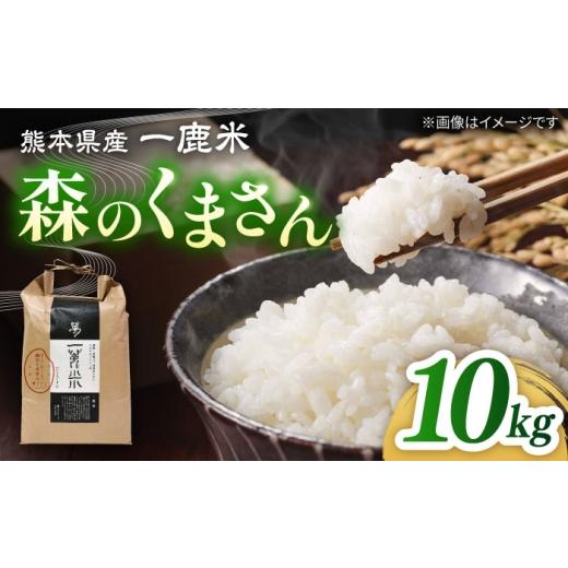 ふるさと納税 米 熊本県 山鹿市 [令和7年度産米] 天日塩を使用 一鹿米 森のくまさん 白米 10kg 株式会社 夢アグリ