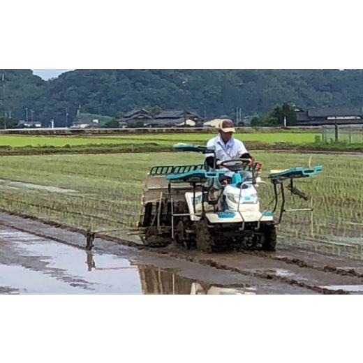 ふるさと納税 米 熊本県 山鹿市 〈令和7年度産米〉 天日塩を使用 一鹿米 森のくまさん 白米20kg 株式会社 夢アグリ ZCL024の画像