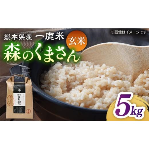 ふるさと納税 玄米 熊本県 山鹿市 [令和7年度産米] 天日塩を使用 一鹿米 森のくまさん 玄米5kg 株式会社 夢アグリ