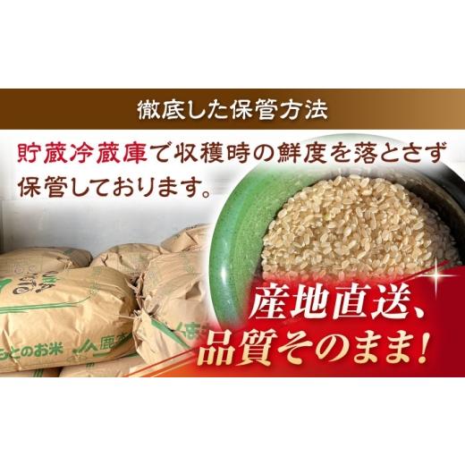 ふるさと納税 米 ヒノヒカリ 熊本県 山鹿市  天日塩を使用 一鹿米 ヒノヒカリ 米 白米20kg 株式会社 夢アグリ ZCL028の画像