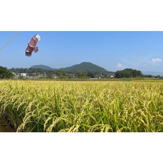 ふるさと納税 米 ヒノヒカリ 熊本県 山鹿市  天日塩を使用 一鹿米 ヒノヒカリ 米 白米20kg 株式会社 夢アグリ ZCL028の画像