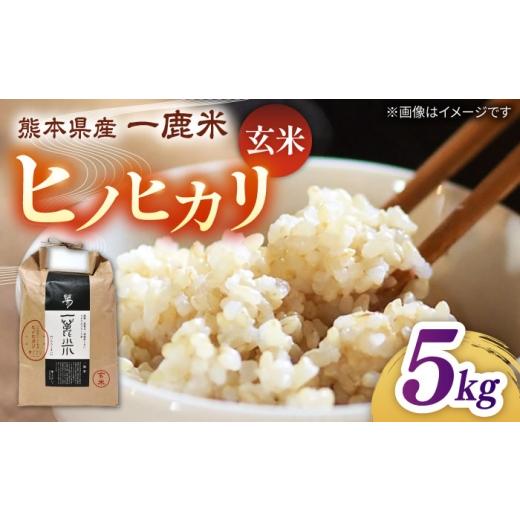 ふるさと納税 玄米 熊本県 山鹿市 天日塩を使用 一鹿米 ヒノヒカリ 米 玄米5kg 株式会社 夢アグリ