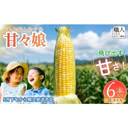 ふるさと納税 とうもろこし 山梨県 市川三郷町 2026年5月下旬から発送 朝採り 甘々娘 とうもろこし 6本入り 2Lサイズ ヒルサイドオーチャード 先行予約 先行受…