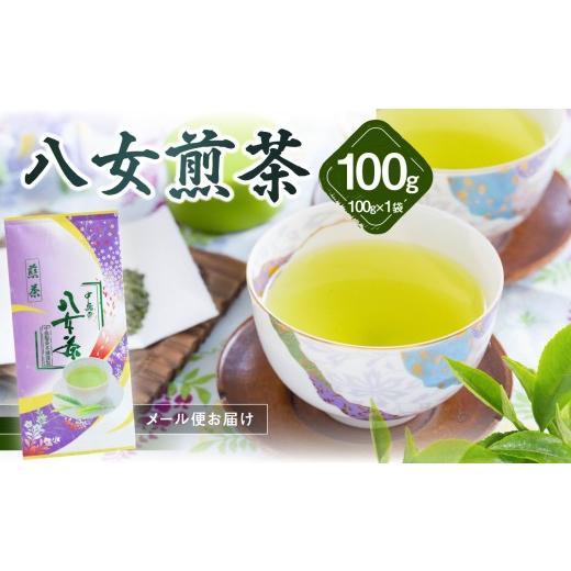 ふるさと納税 お茶類 福岡県 八女市 八女煎茶(ご家庭用) 100g メール便 お茶 煎茶 家庭用 自宅用 お試し ポスト投函 簡易包装 訳あり