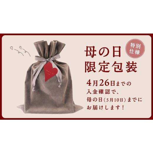 ふるさと納税 美容 茨城県 つくばみらい市  母の日ギフト対応 LINKA マルチフェイシャルトリートメント（複合美顔器） リンカ 美顔器 美容 エステ ギフト ラッ…の画像