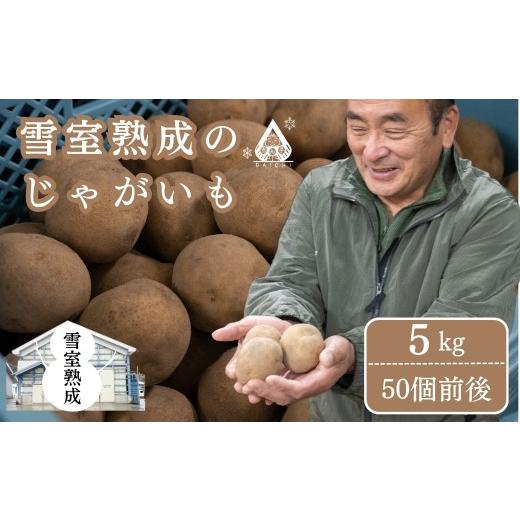 ふるさと納税 野菜類 じゃがいも 新潟県 津南町 雪室熟成のじゃがいも 5kg | じゃがいも じゃが芋 ジャガイモ 芋 いも イモ 国産 新鮮 旬 産地直送 津南町 有…