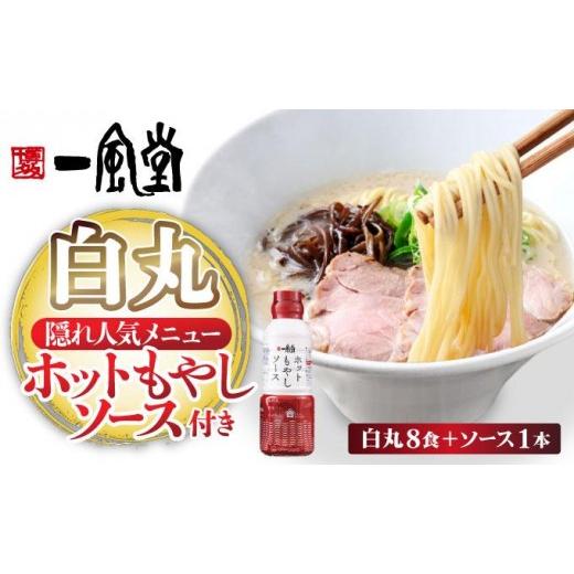 ふるさと納税 ラーメン とんこつ 福岡県 那珂川市 福岡県産 ラー麦使用 現地でたべたい 「一風堂」白丸 ラー麦麺セット(ホットもやしソース付き)8食|博多ラ…