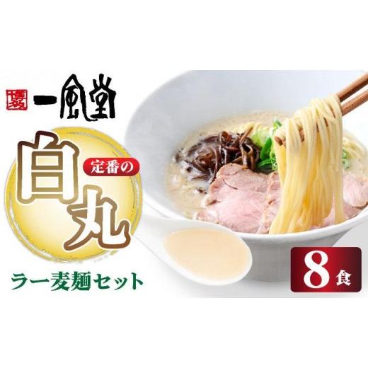 ふるさと納税 ラーメン とんこつ 福岡県 那珂川市 福岡県産 ラー麦使用 現地でたべたい 「一風堂」白丸 ラー麦麺セット 8食 8食