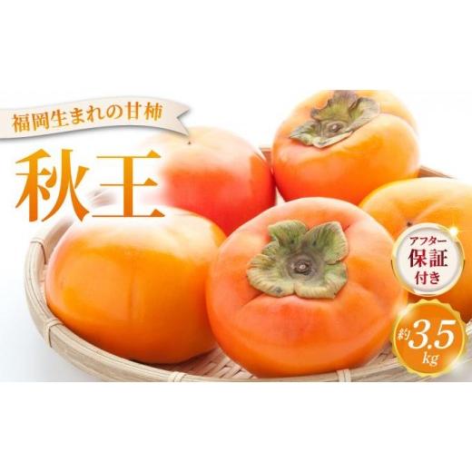 ふるさと納税 果物類 柿 福岡県 那珂川市 福岡より直送 種がほとんどない新ブランド柿 秋王 約3.5kg(2026年10月以降発送)|甘柿 太秋柿 富有柿 フルーツ くだ…