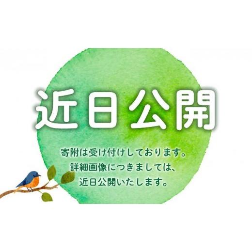 ふるさと納税 魚貝類 明太子 福岡県 那珂川市 博多辛子明太子の島本 しっとり鮭めんたい160g×2個 320g