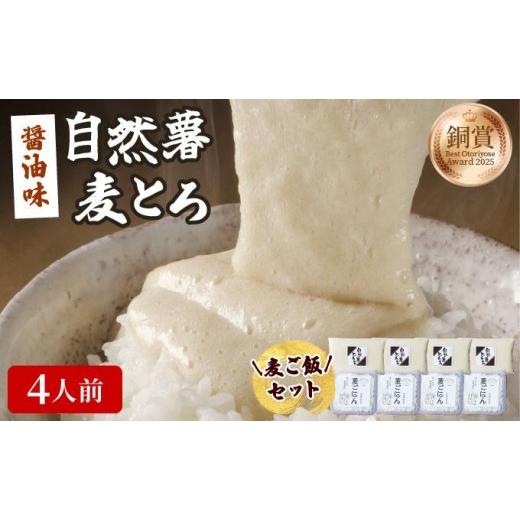 ふるさと納税 人参・大根・他根菜 福岡県 那珂川市 味付け不要 本格自然薯麦とろセット(4人前) <通常配送>とろろと麦ごはん