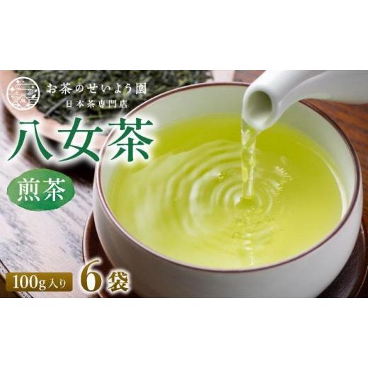 ふるさと納税 お茶類 緑茶(茶葉・ティーバッグ) 福岡県 那珂川市 豊かな香りとまろやかな旨味 八女茶(煎茶) 600gセット(100g×6袋)|国産 緑茶 玉露 日本茶…