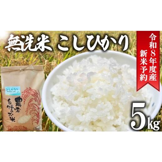 ふるさと納税 無洗米 千葉県 旭市 先行予約 無洗米 コシヒカリ 5kg こしひかり 令和8年産 千葉県産 米 新米 こめ コメ 精米 白米 むせんまい ご飯 ごはん お弁…