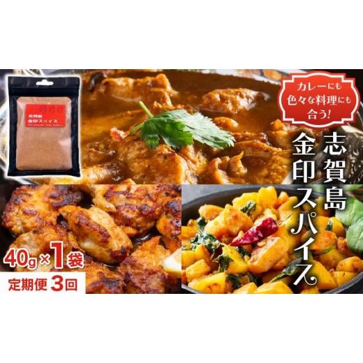 ふるさと納税 加工品等 福岡県 那珂川市 定期便・全3回 金印スパイス カレーパウダー 1袋|カレー パウダー カレースパイス 調味料 本格 オリジナル スパイス…