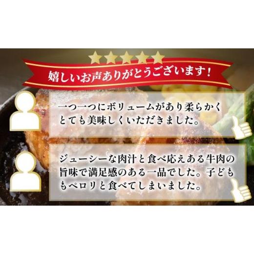 ふるさと納税 肉 ハンバーグ 福岡県 那珂川市 定期便・全8回 博多和牛100％ 贅沢本格 手ごねハンバーグ 10個 久田精肉店 |国産牛 ブランド牛 ブランド和牛 無…