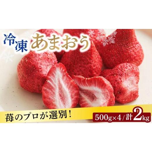 ふるさと納税 果物類 福岡県 那珂川市 自然環境農法 福岡県産 冷凍あまおう 2kg|苺 いちご イチゴ 完熟 あかい まるい おおきい うまい フルーツ 果物 デザー…