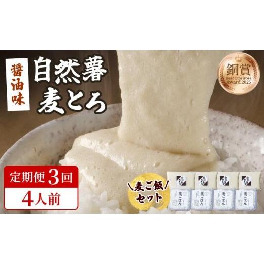 ふるさと納税 人参・大根・他根菜 福岡県 那珂川市 定期便・全3回 味付け不要 本格自然薯麦とろセット(4人前)|自然薯 じねんじょ とろろ 山芋 やまいも 長…