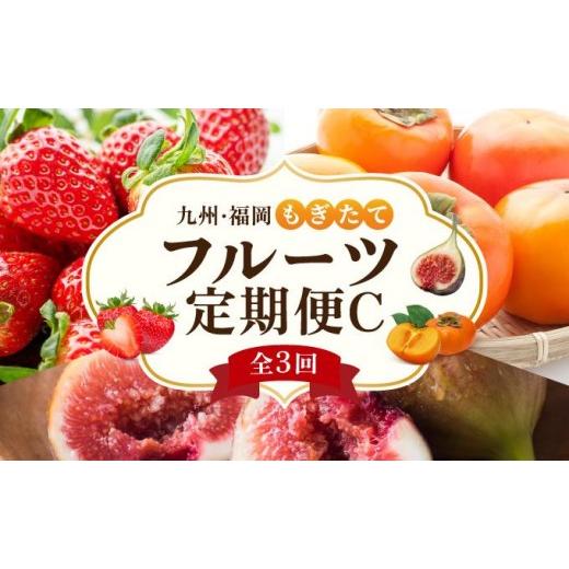 ふるさと納税 果物類 福岡県 那珂川市 定期便・全3回 九州・福岡もぎたて フルーツ定期便 C|果物 旬 国産 産地直送 いちご イチゴ 苺 あまおう かき カキ 秋…