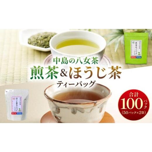 ふるさと納税 お茶類 緑茶(茶葉・ティーバッグ) 福岡県 那珂川市 産地直送 八女茶 中島製茶本舗 ご家庭用 煎茶 ほうじ茶 ティーバッグ 計100パック|緑茶 日…