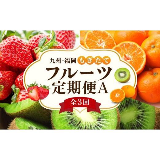ふるさと納税 果物類 みかん 福岡県 那珂川市 定期便・全3回 九州・福岡もぎたて フルーツ定期便 A|果物 旬 国産 産地直送 いちご イチゴ 苺 あまおう みかん…